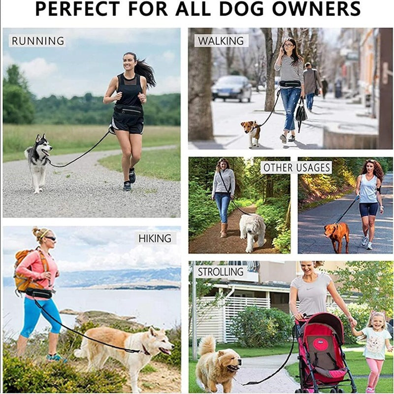 Hands Free Shock Absorbing Bungee Dog Leash - PawsAndPartners