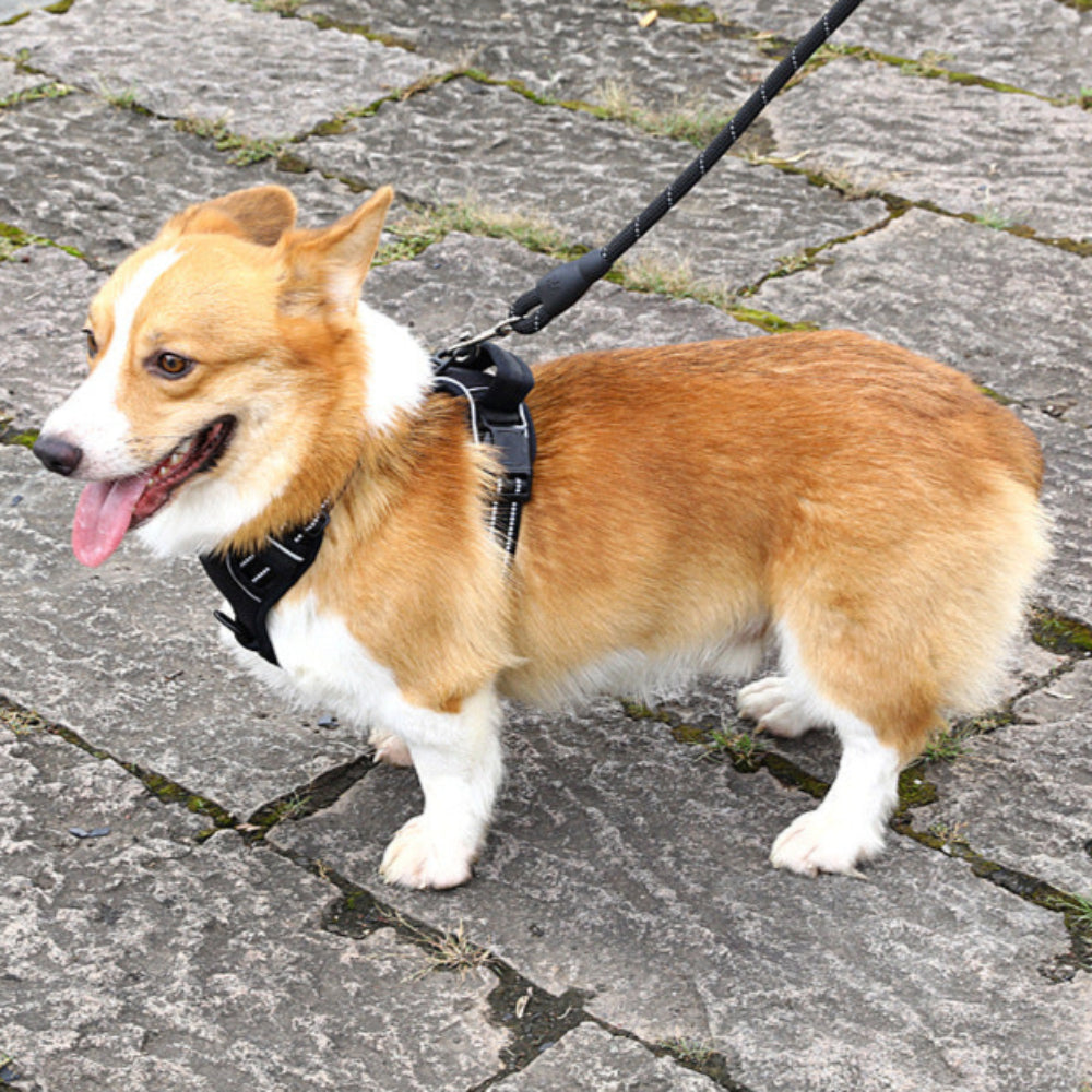 Dog Reflective Breathable No Pull Harness Vest - PawsAndPartners