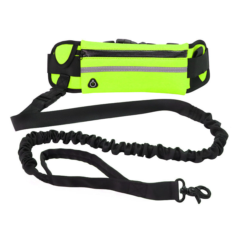 Hands Free Shock Absorbing Bungee Dog Leash - PawsAndPartners