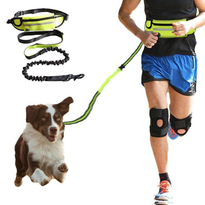Hands Free Shock Absorbing Bungee Dog Leash - PawsAndPartners