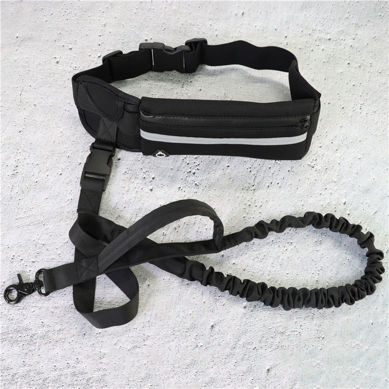 Hands Free Shock Absorbing Bungee Dog Leash - PawsAndPartners