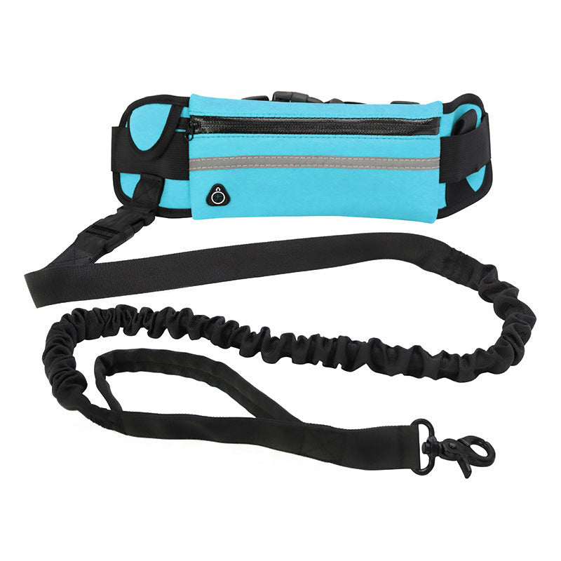 Hands Free Shock Absorbing Bungee Dog Leash - PawsAndPartners