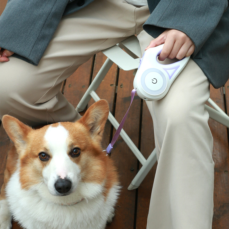 Dog Leash with Built-in Spotlight For Extra Safaty - PawsAndPartners