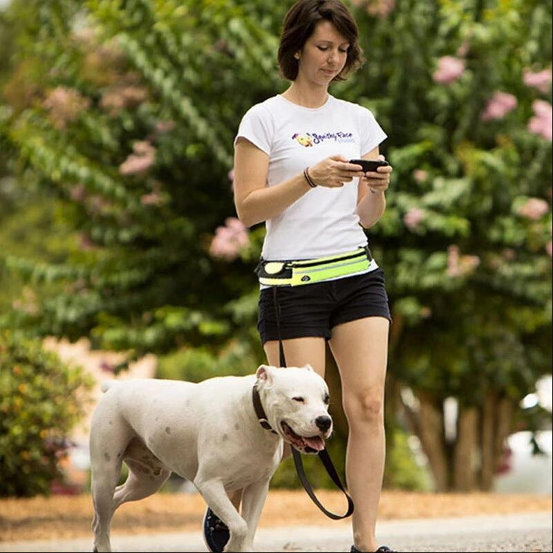 Hands Free Shock Absorbing Bungee Dog Leash - PawsAndPartners