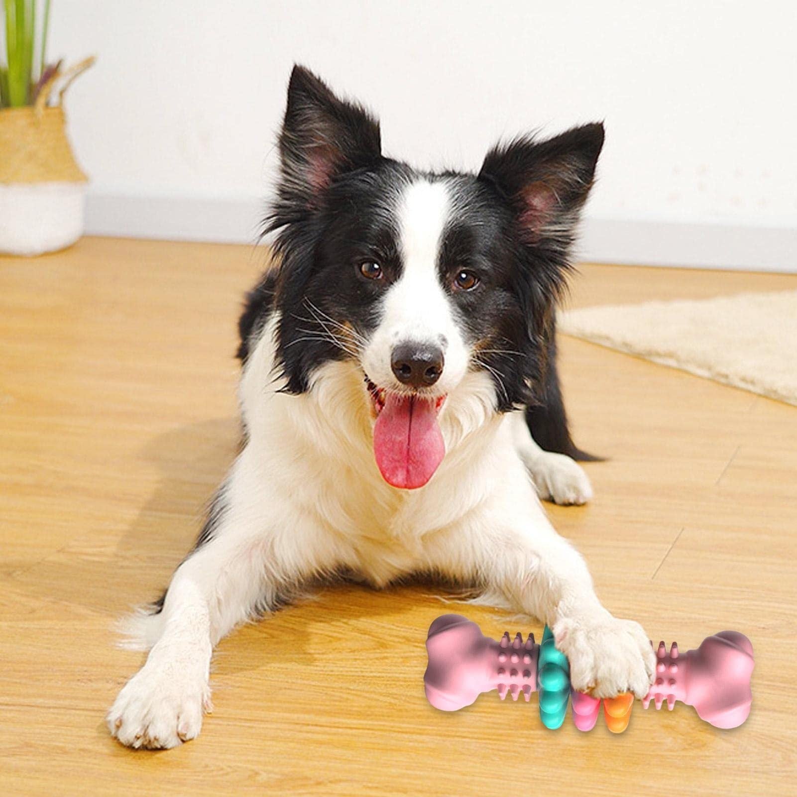 Cleaning Chew Bone-Type Bite Resistant Toy - PawsAndPartners