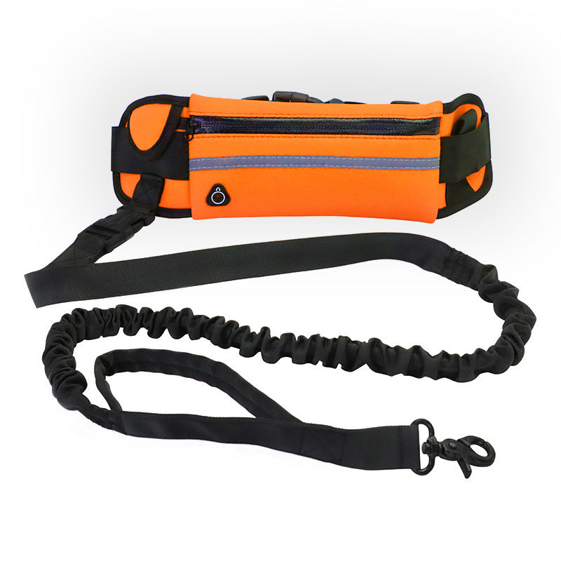 Hands Free Shock Absorbing Bungee Dog Leash - PawsAndPartners