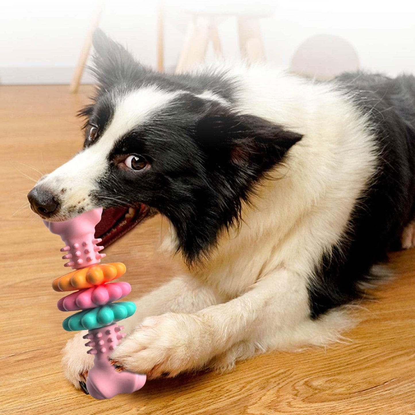 Cleaning Chew Bone-Type Bite Resistant Toy - PawsAndPartners