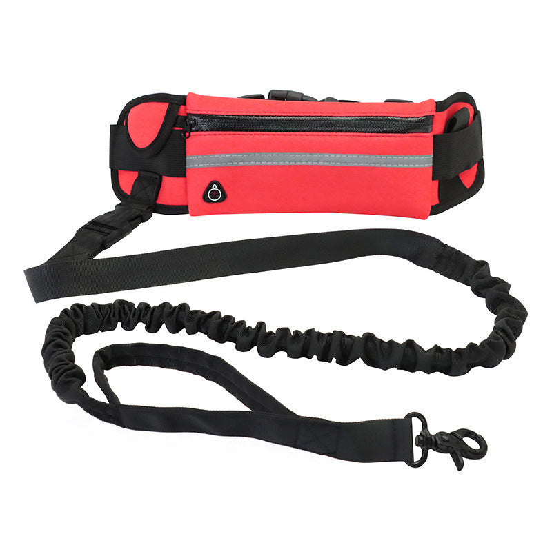 Hands Free Shock Absorbing Bungee Dog Leash - PawsAndPartners